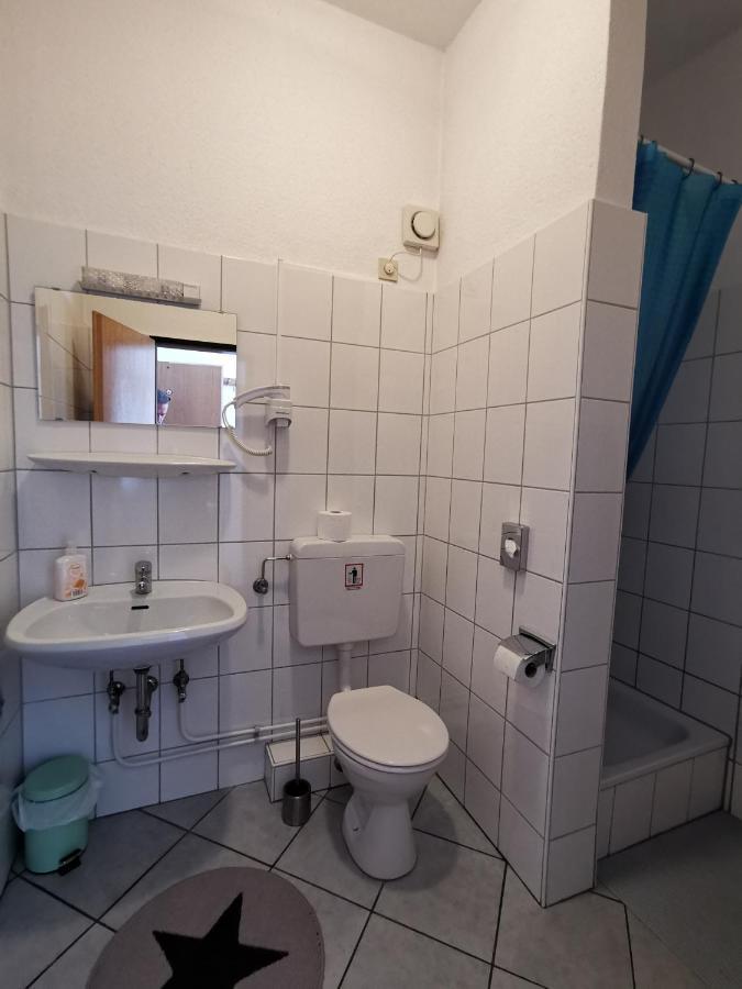 Hotel-Pension Zum Hirsch Hattersheim am Main المظهر الخارجي الصورة